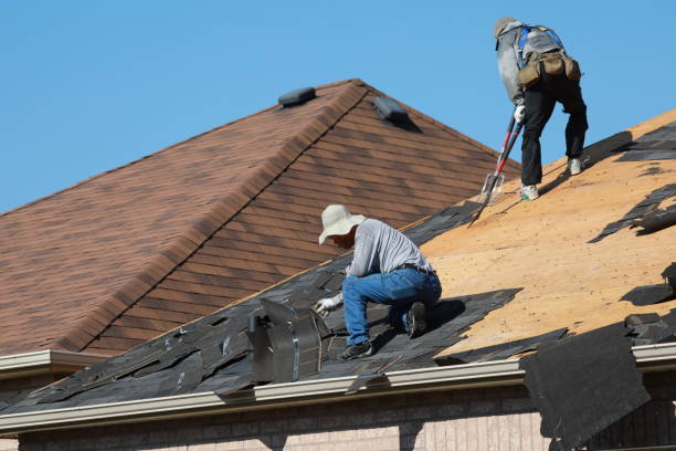 Best Asphalt Shingle Roofing  in Palos Heights, IL