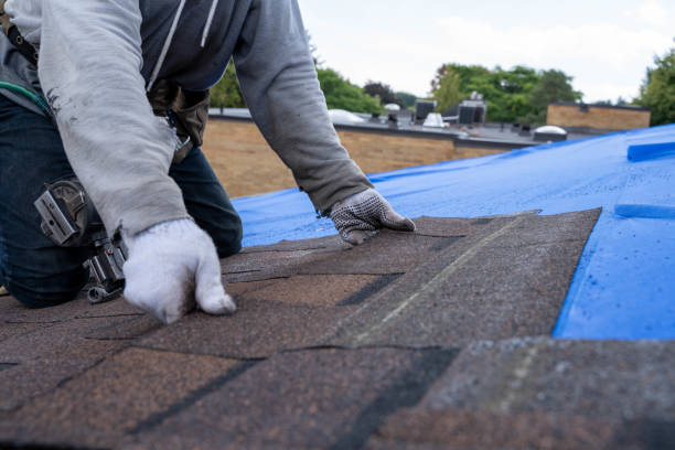 Fast & Reliable Emergency Roof Repairs in Palos Heights, IL